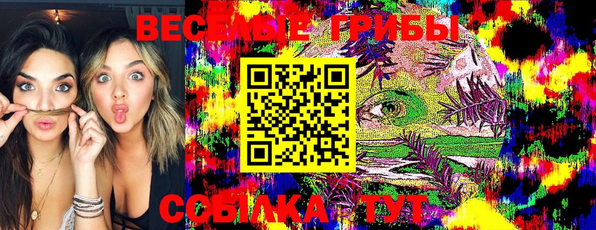 Кизляр  Псилоцибиновые грибы мицелий  Псилоцибиновые грибы Psilocybine cubensis  Вход с VPN 